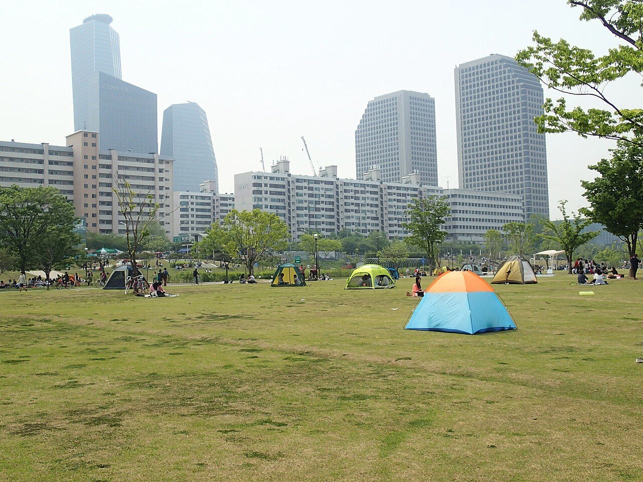 The grassy riverside of Yeouido Hangang Park in Seoul with the Han River and city skyline behind it