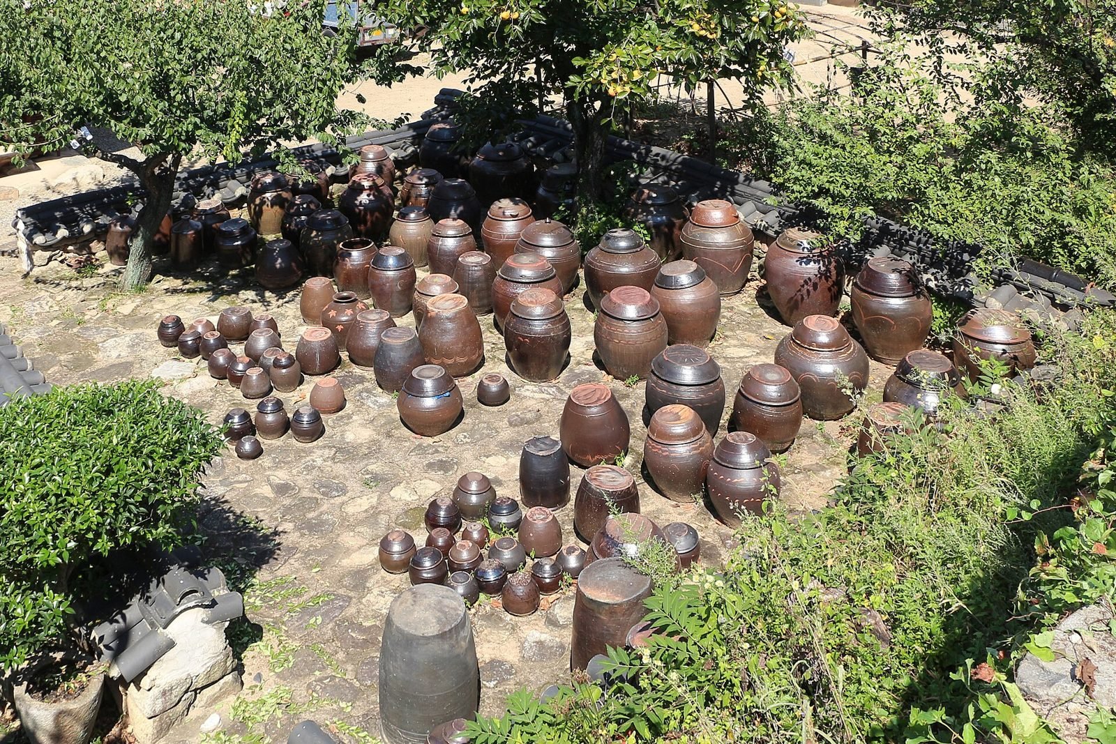 Earthenware jars arranged on a raised stone platform outdoors